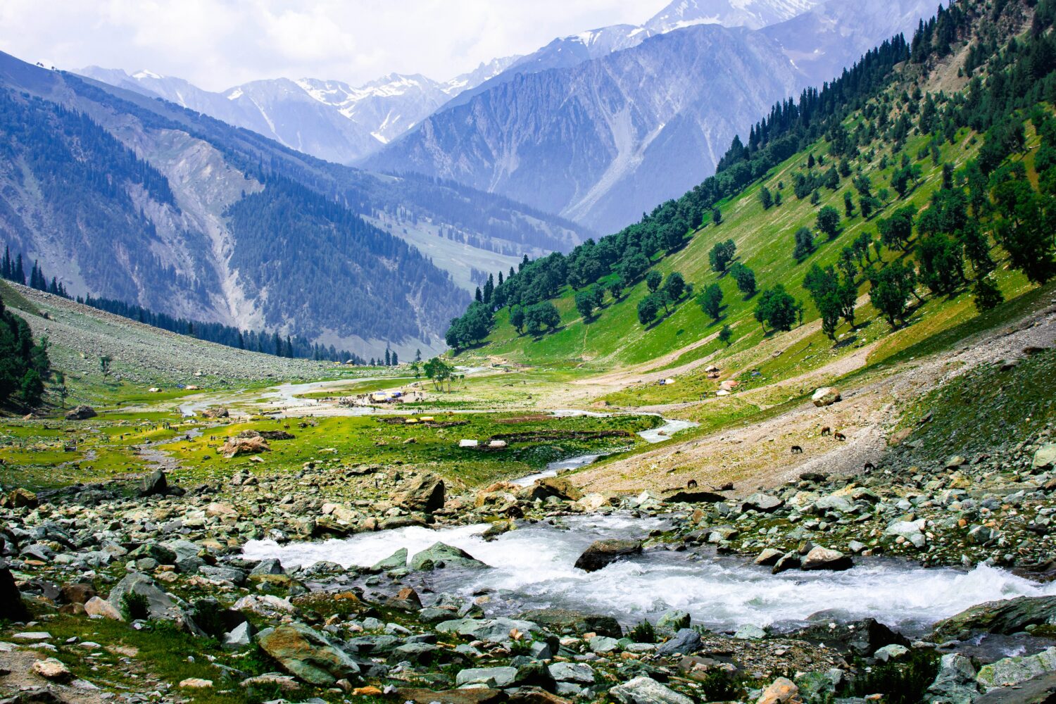 Mountain valley scenery in Jammu and Kashmir