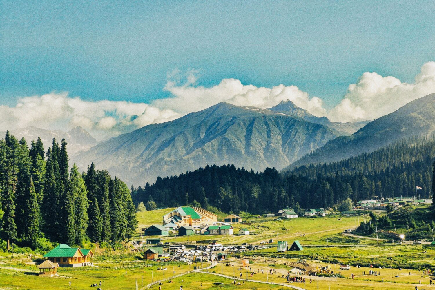 Gulmarg meadows and pine forests with mountain scenery