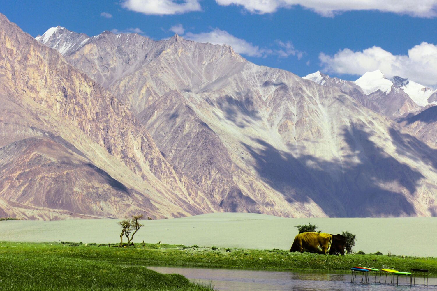 River valley and mountain landscape in Best of Ladakh Tour Package with snow-capped Himalayan peaks