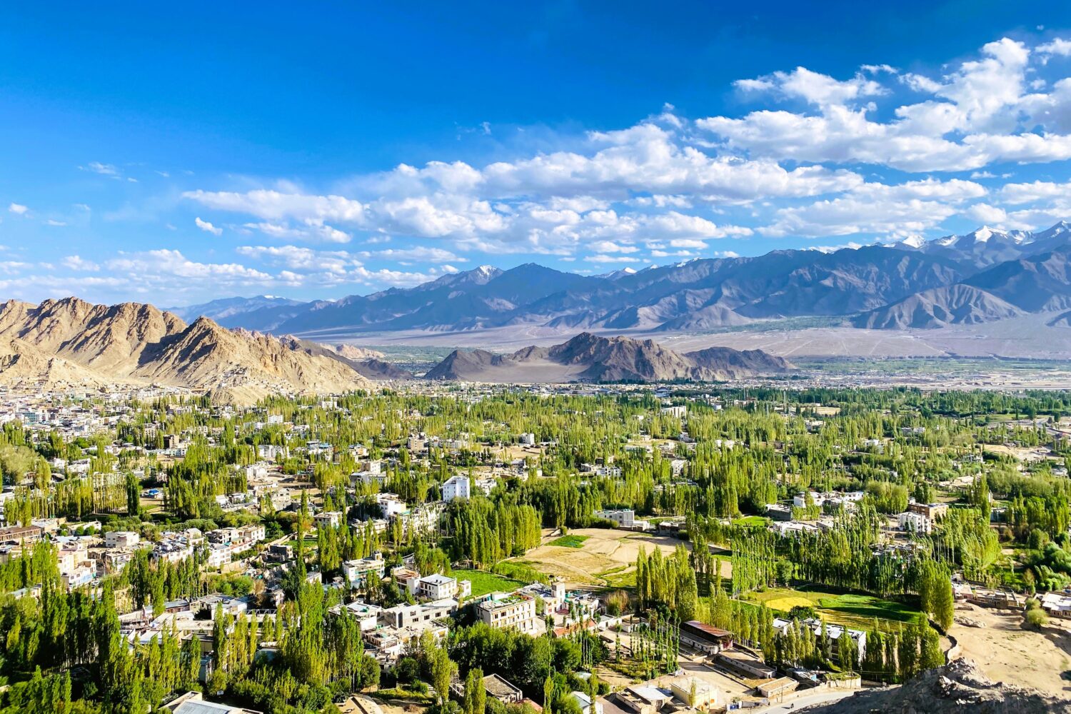 Open valley landscape in Ladakh with mountain ranges and grasslands