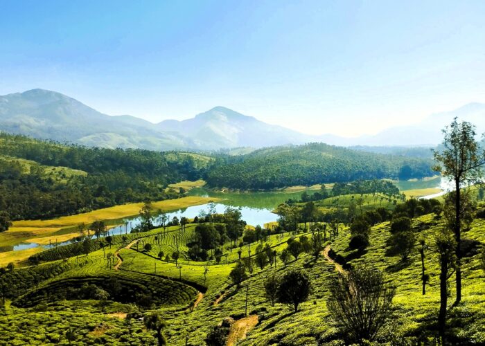 Munnar Vagamon Tour Package featuring tea plantations, hills and scenic landscapes in India Getaways