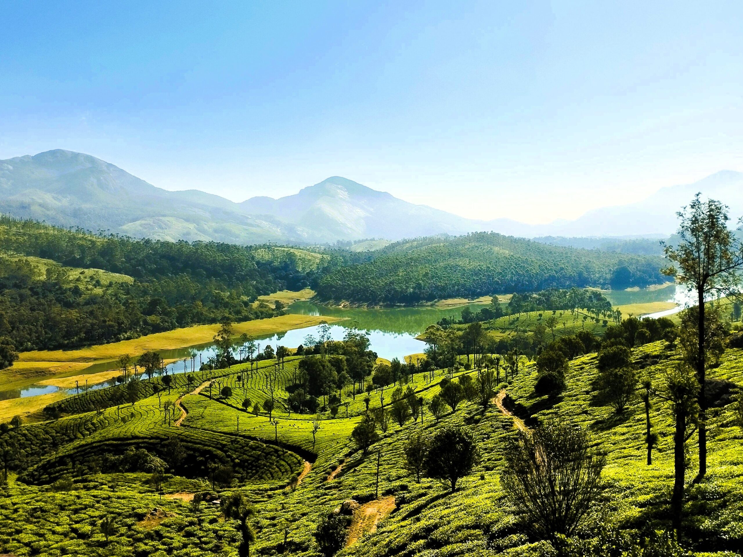 Munnar Vagamon Tour Package featuring tea plantations, hills and scenic landscapes in India Getaways