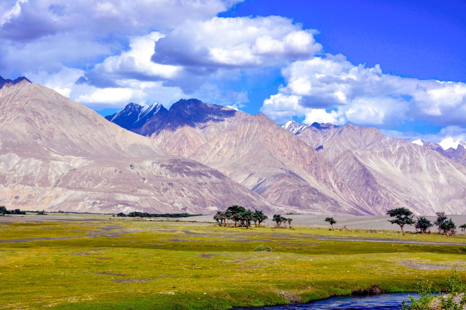 Open valley landscape in Ladakh with mountain ranges and grasslands