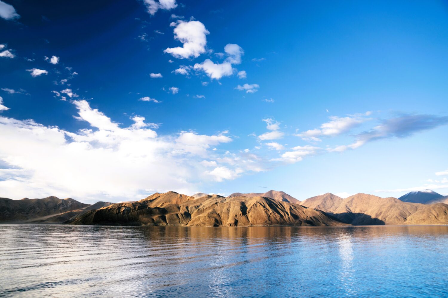 Apricot Blossom Ladakh Tour featuring Pangong Lake surrounded by mountains in Ladakh