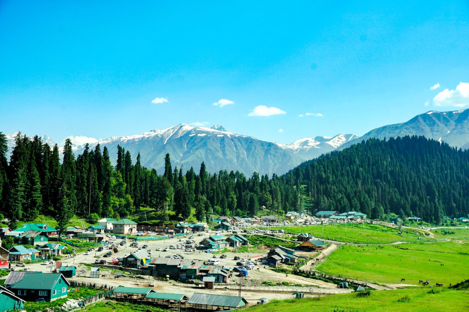 Sonmarg mountain village surrounded by alpine meadows and Himalayan peaks on Kashmir Valley Escape tour