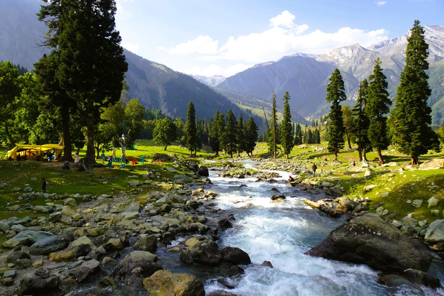Sonmarg river valley with pine forests and mountain landscapes during a Kashmir highlights tour