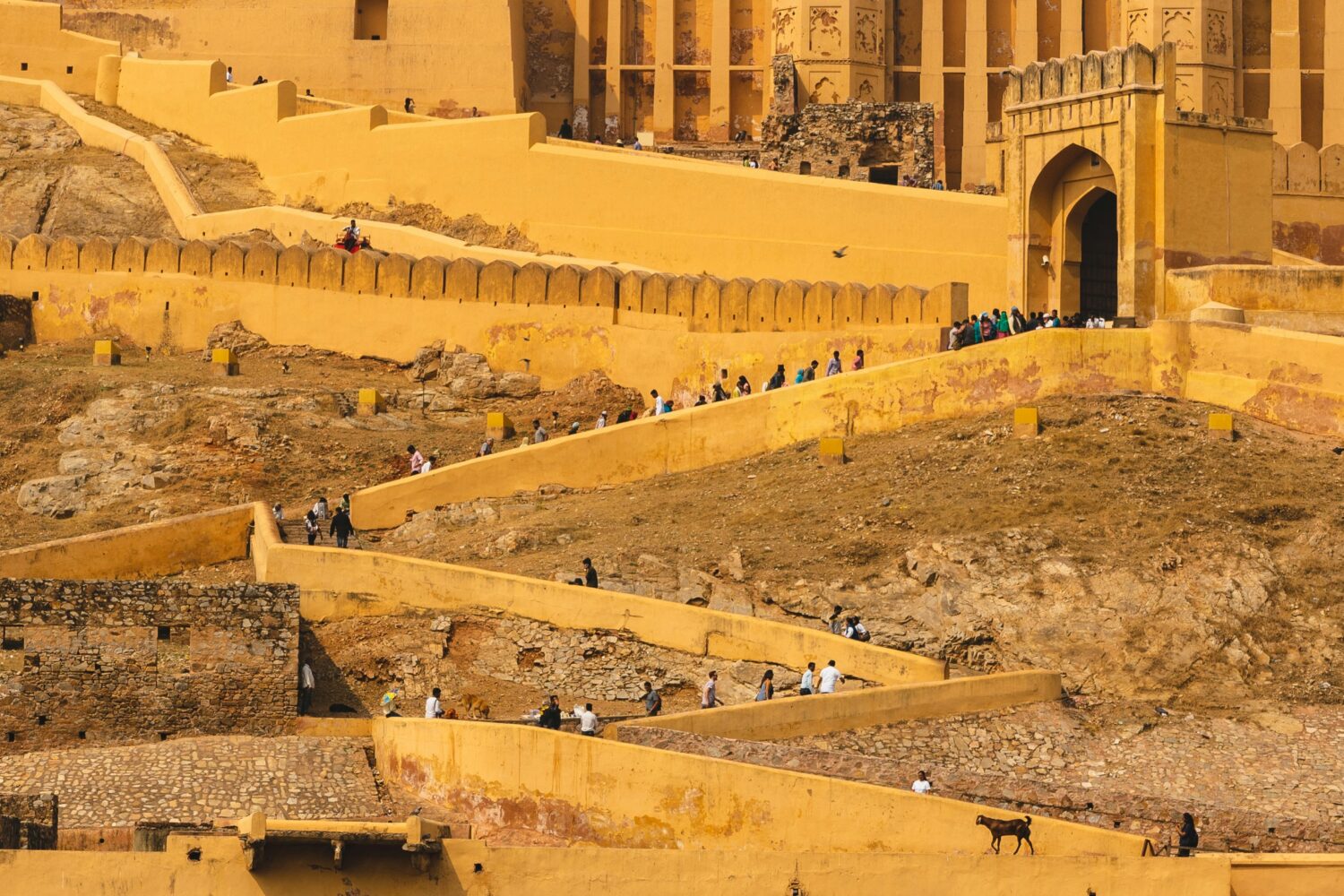 Amber Fort Jaipur | Jaipur Udaipur Tour