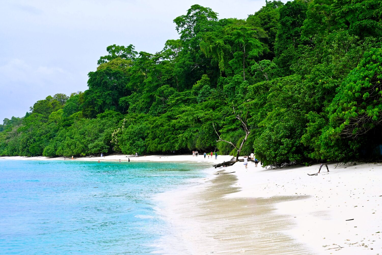 Andaman Islands beaches with white sand, turquoise water and tropical forest