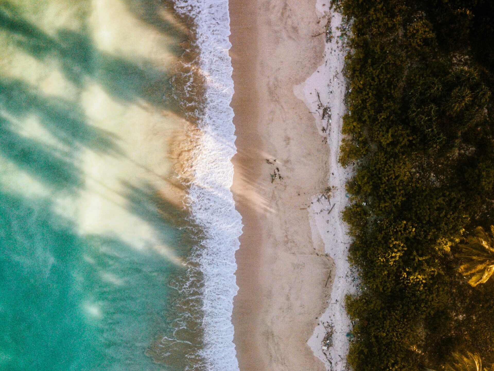 Aerial view of a tropical beach and turquoise waters in the Andaman Islands