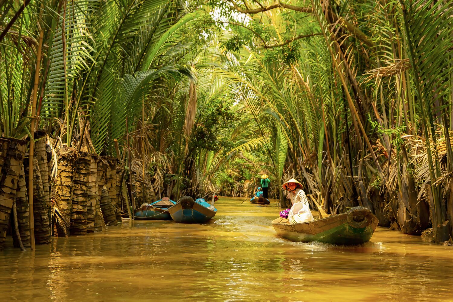 Mekong Delta's palm-lined waterway