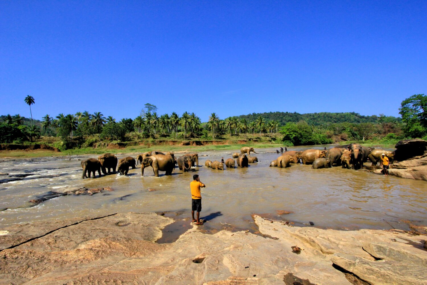 Pinnawala Elephant Orphanage featured in Sri Lanka tour package