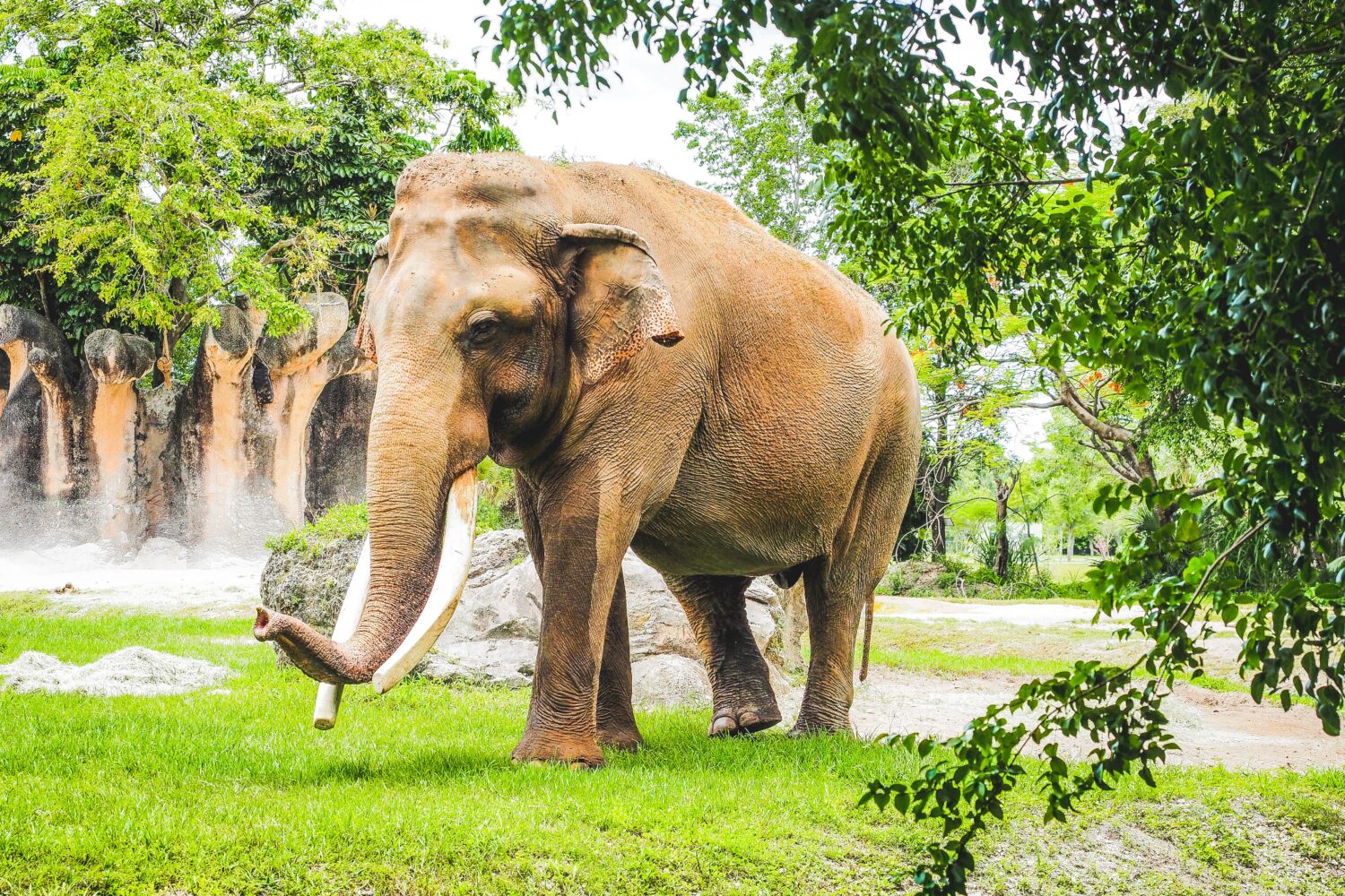 Safari World featured in Thailand tour package