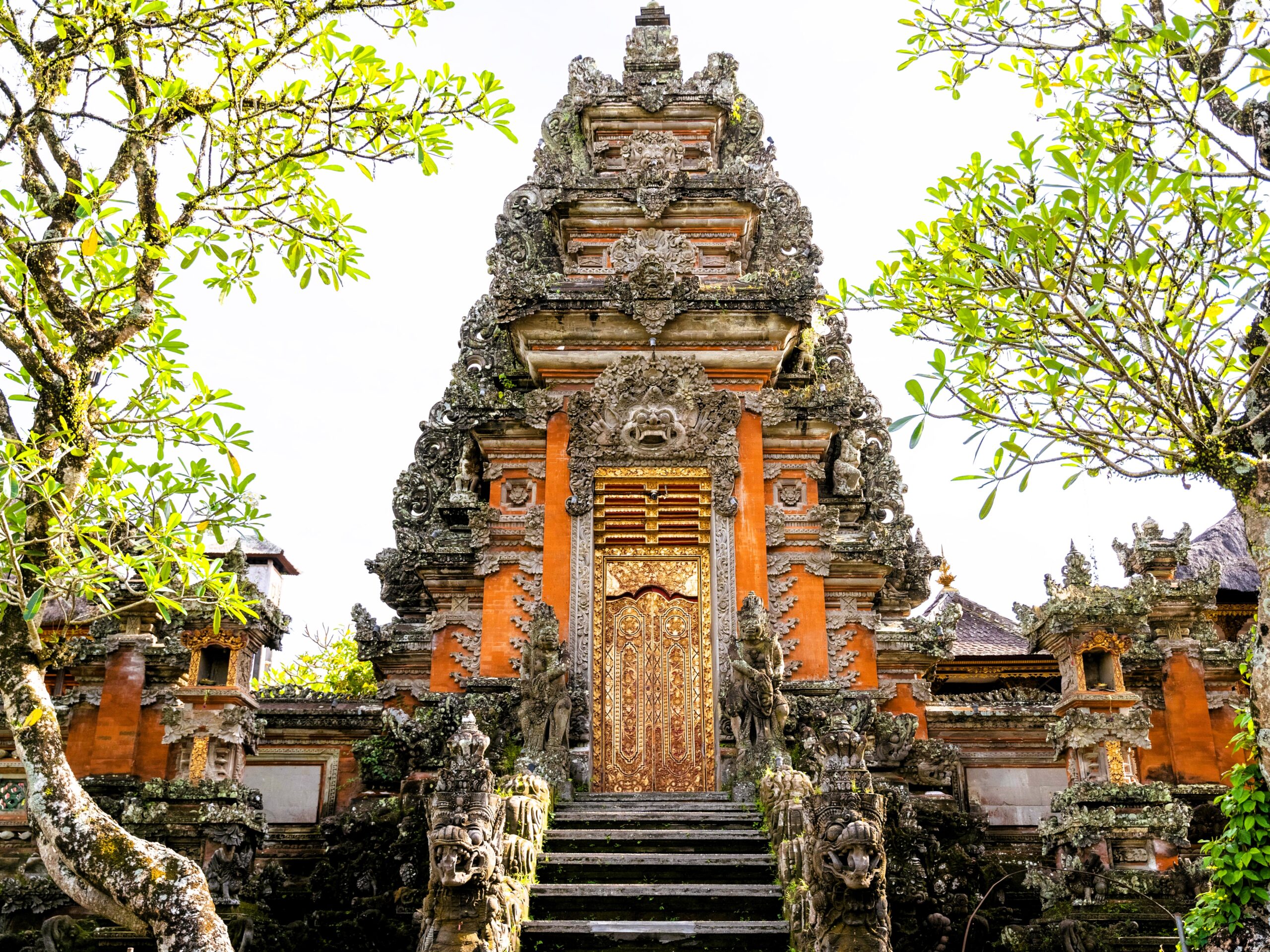 bali featured in international tours