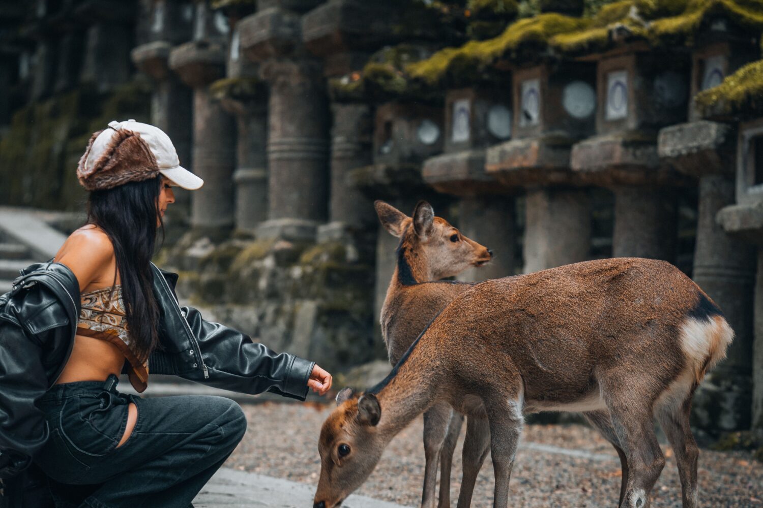 Nara park featured in Japan tour package