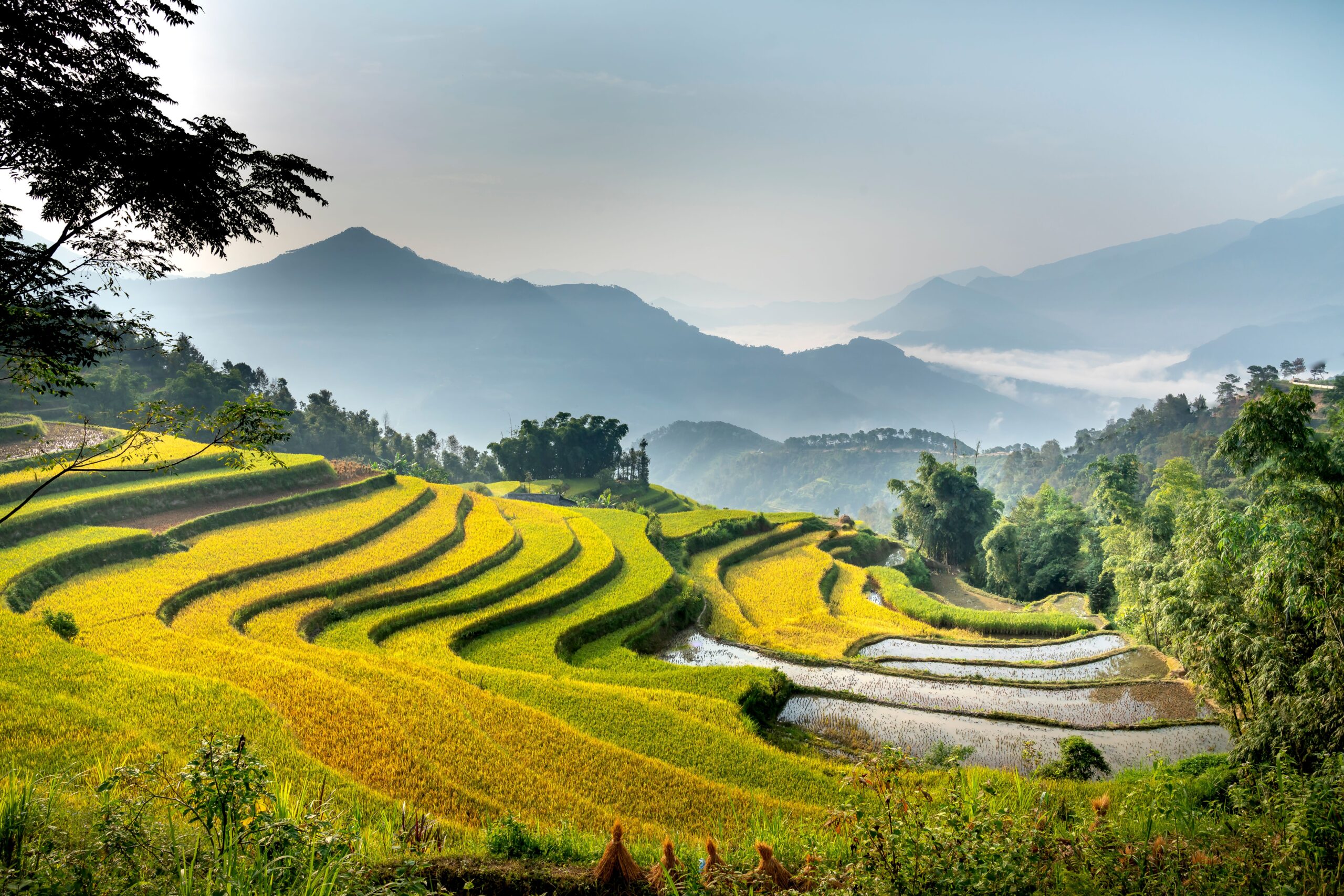 vietnam featured in international tours
